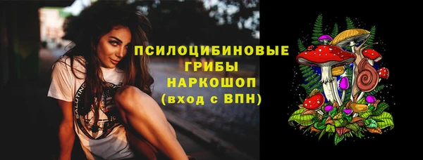 стаф Алексеевка