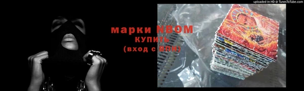 гашик Пересвет