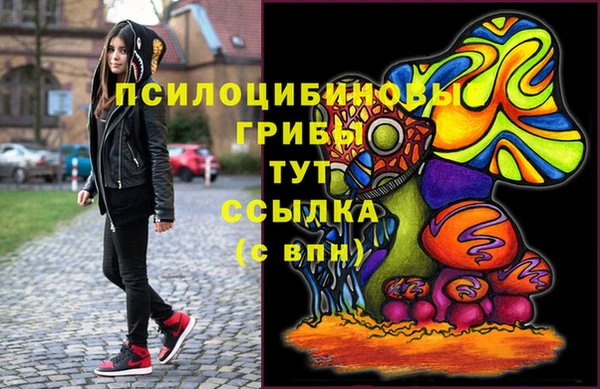 ПСИЛОЦИБИНОВЫЕ ГРИБЫ Алзамай